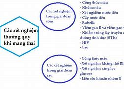 Các Xét Nghiệm Cần Thiết Khi Mang Thai