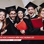 Du Học Có Gì Vui Tại Canada Cần Những Ngành