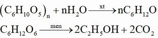 Gỗ Chế Biến Vật E5Zicfg_9-8 Input Number Html