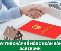 Hồ Sơ Vay Thế Chấp Sổ Đỏ Agribank