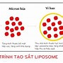 Sắt Công Nghệ Liposome