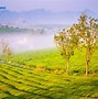 Tour Du Lịch Sapa Từ Tphcm Giá Rẻ