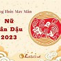 Tử Vi Tuổi Dậu 1981 Nữ